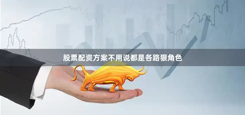 股票配资方案不用说都是各路狠角色