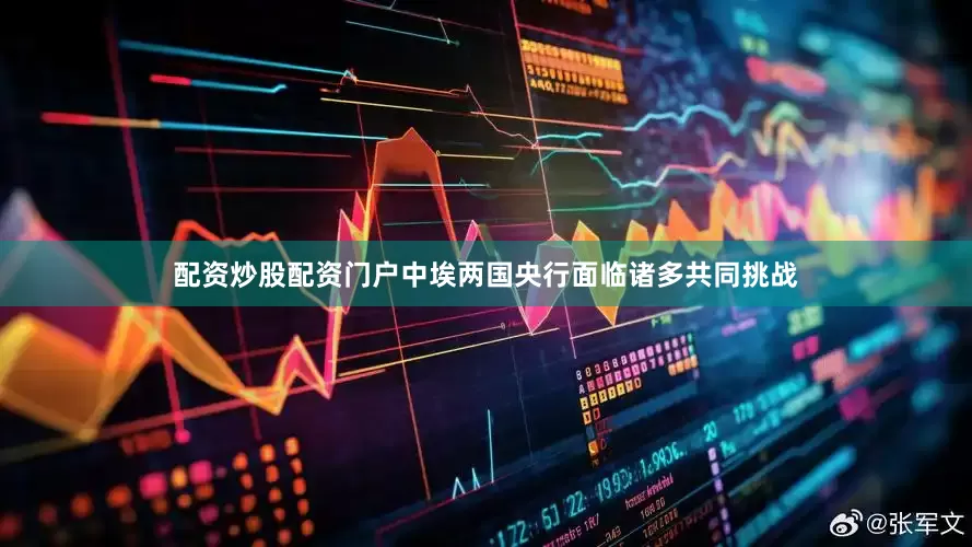 配资炒股配资门户中埃两国央行面临诸多共同挑战